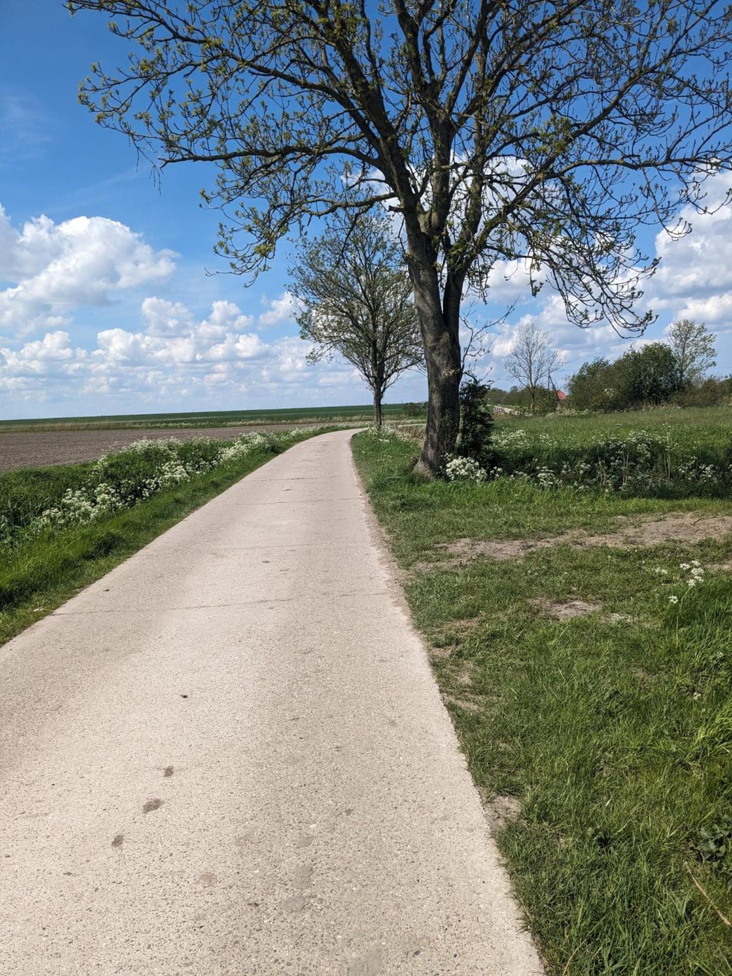 Huus Meta Villa Krummhörn Kültér fotó